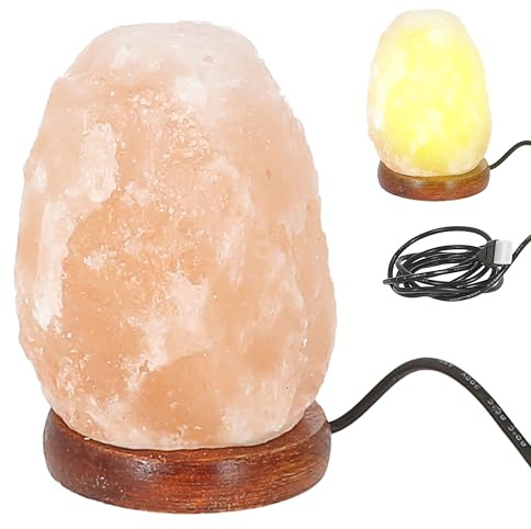 Cepewa LED Salzkristallleuchte | Ø9cm USB-A Kabel MDF | Salz 'Salt Range Pakistan' | Salzschale mit Salzsteine auf Holzsockel (Salzkristalllampe)