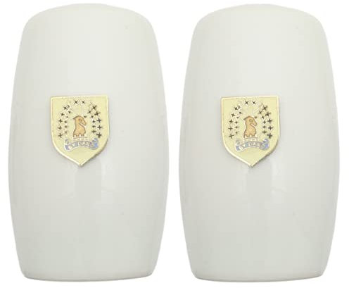 Gordon Highlanders China Salt and Pepper Shakers Cruet Set Modern White CSP ME10