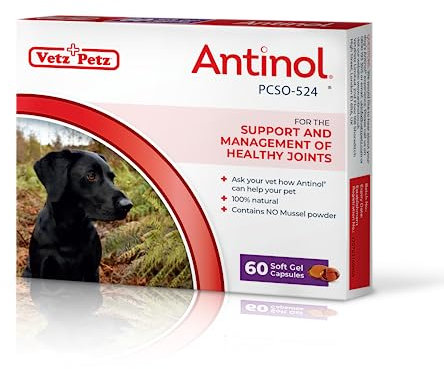 Vetz Petz Antinol - Dog Joint Supplement – 100% Natural Green-Lipped Mussel Oil for Joint Health & Mobility – Full-Spectrum Omega-3s for Dogs – No Fillers or Powders – 60 Softgel Capsules