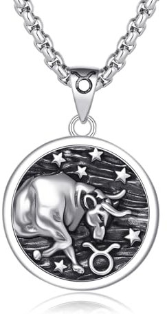 REDSUN Stier Sternzeichen Halskette 925 Sterling Silber 12 Konstellation Kette Tierkreiszeichen Anhänger Astrologie Horoskop Anhänger Sternzeichen Halskette Für Männer Frauen