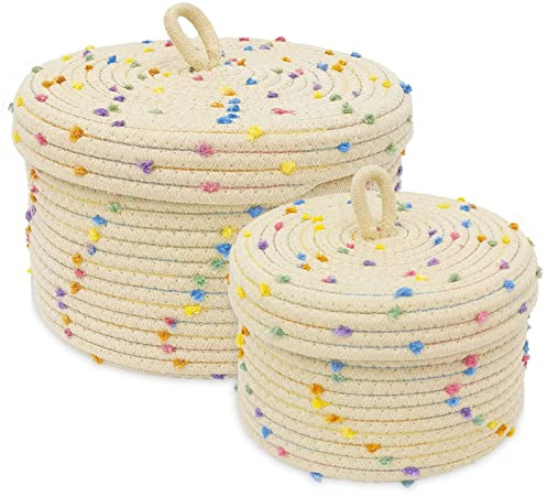 2pcs Small Basket, Cute Basket with Lid & Decorative Bin for Storage