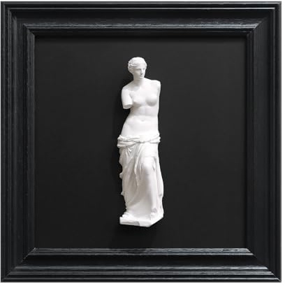 FOLKOR LIFE Framed Black and White Wall Art Sculpture Venus de Milo, Greek Roman Mythology Goddess Aphrodite Statue Framed Plaster Relief Wall Decor for Living Room, Hallway, Entryway Decoration