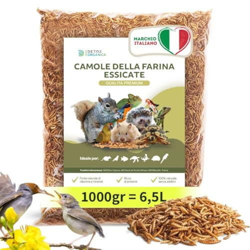 Detox Organica Camole della Farina Essiccate 1000g = 6.5 L Qualità Premium
