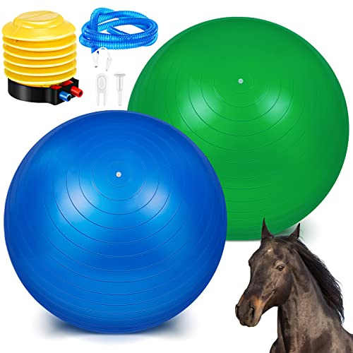 2 palline per cavalli da 101 cm per giocare, grandi palline da pastore per cavalli, anti-scoppio, gigante, giocattolo per cavalli, con pompa inclusa (verde, blu, 100 cm)