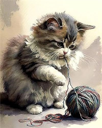 Böse Katze Malen nach Zahlen Erwachsene DIY Handgemalt Ölgemälde Malerei auf Leinwand Kinder Anfänger Malsets mit Pinseln Acrylic Paint by Numbers Kits Haus Wand Decor Geschenk 45x60cm,mit Rahmen