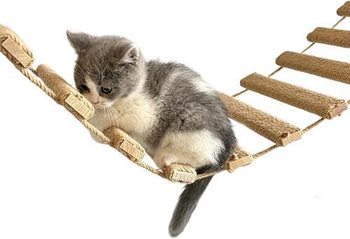 Supporto a parete per ponte per gatti - di arrampicata da quaranta pollici, percorso felino, gradini di riposo rialzati, mobili modulari per animali domestici, percorso giochi interno | Incora