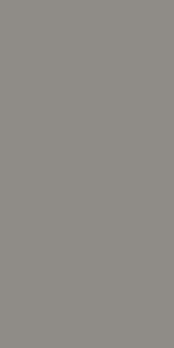 Duni Zelltuch-Servietten Uni granite grey 40x40 cm 3lagig, 1/8 BF 250 St.