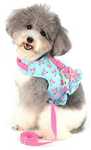 smalllee_lucky_store katzengeschirr ausbruchsicher,hundegeschirr für kleine Hunde mit Leine, verstellbar,weiche,wasserdicht,welpen kätzchen Bogen Kleid,süßes Muster