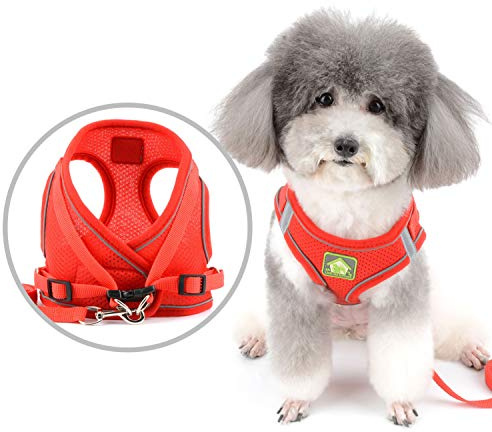 Zunea Harnais et Laisse pour Petit Chien Anti Traction Réglable Réfléchissant Chiot Chats Harnais Respirant en Maille Souple Veste pour Chihuahua Yorkshire pour Marcher, Courir, Formation Rouge M