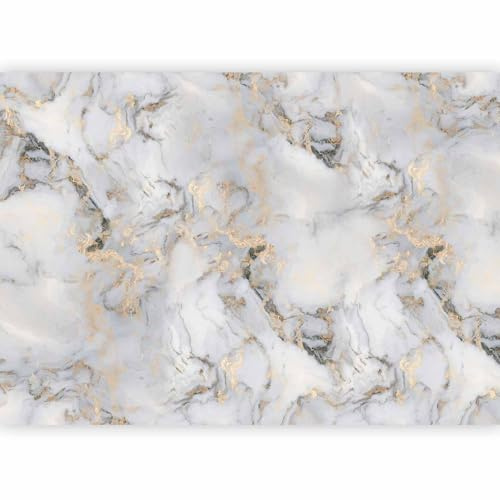 murando - Carta da Parati Moderna per Soggiorno, Astratto, 250x175 cm | Fotomurali in TNT, Decorazione da Muro XXL, Carte da Parati Moderne, Effetto, Grigio, Produzione Europea