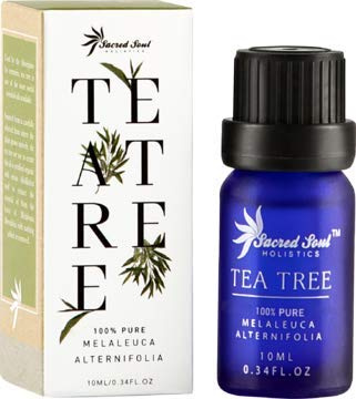 Aceite esencial del árbol del té australiano 100% puro de Sacred Soul - 10 ml - Probado por GCMS - Plantas indígenas - Perfecto para aromaterapia