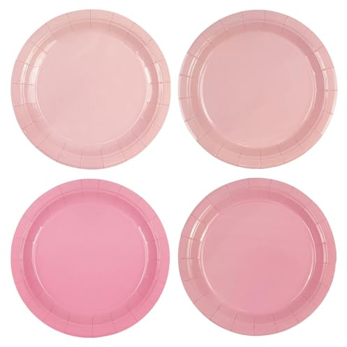 HiEnjoin Lot de 48 assiettes en carton rose dégradé rose 23 cm Assiettes à dessert jetables pour anniversaires, mariages, fêtes prénatales, fêtes et autres occasions, 4 couleurs
