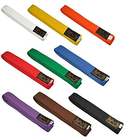 Tornado Budogürtel einfarbig 4 cm breit 220 orange