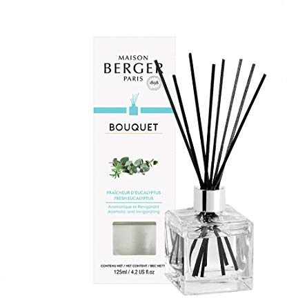 Lampe Berger Duftbouquet Set Cube Fraicheur d' Eucalyptus / Frischer Eukalyptus 125 ml