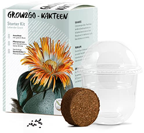 GROW2GO Kakteen Starter Kit Anzuchtset - Pflanzset aus Mini-Gewächshaus, Kaktus Samen & Erde - nachhaltige Geschenkidee für Pflanzenfreunde (Lebender Granit)