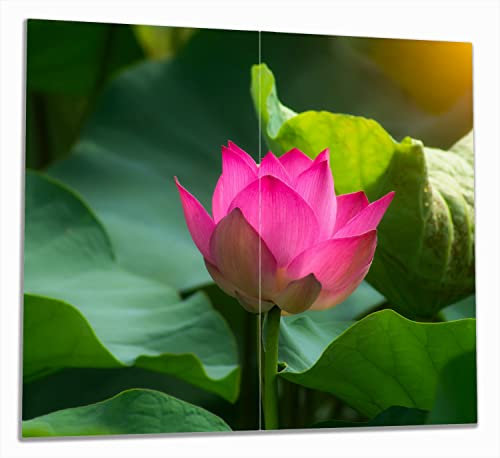 Wallario Herdabdeckplatte/Spritzschutz aus Glas, 2-teilig, 60x52cm mit 8mm hohen Füßen, für Ceran- und Induktionsherde, Pinke Lotosblüte im Sonnenschein