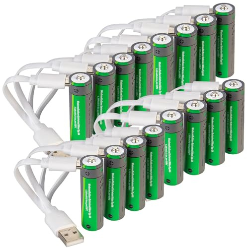tka Köbele Akkutechnik USB aufladbare Batterien: 16er-Set wiederaufladbare Batterien Typ AA, 1950 mWh, Laden per USB-C (Akku mit Aufladen, Akkus, RC)