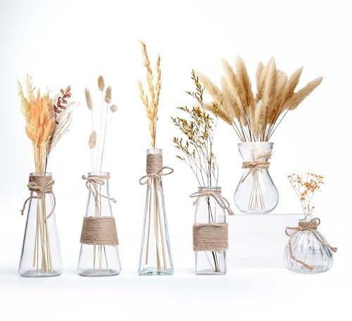 Winter Shore Kleine Vasen für Tischdeko [6er-Pack] - Blumenvase Vintage Verschiedene Formen - Tischvasen Klein mit Rutschfestem Boden & Braunem Seil - Rustikale Vasen Klein Tischdeko & Hochzeitsdeko