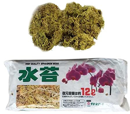 Xistuoz 12L Sphagnum Moos Für Bonsai, Orchideen, Sphagnum Moos Substrat Get Trocknen, Wassermoos Trockenmoos Wasser Gras Substrat Für Orchidee Phalaenopsis