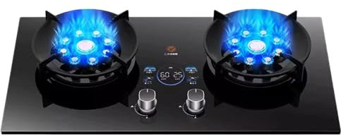 Cuisinière À Gaz Cuisinière À Gaz Intégrée En Acier Inoxydable De 73 Cm Cuisinière À Gaz À 2 Brûleurs, Minuterie De 180 Minutes (indépendante Bilatérale), Dispositif De Protection Contre Les Extinctio