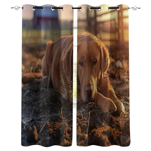 Generisch Tier Hund 3D Vorhänge Blickdicht Mit Ösen 2Er Set,Kinder Gardine Verdunkelungsgardine Für Wohnzimmer Schlafzimmer Kinderzimmer Dekoration,H 160Cm X B 100Cm,Ms1042