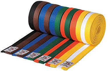 Danrho Taekwondo Judo Karate Gürtel Kampfsport 4 cm zweifarbig