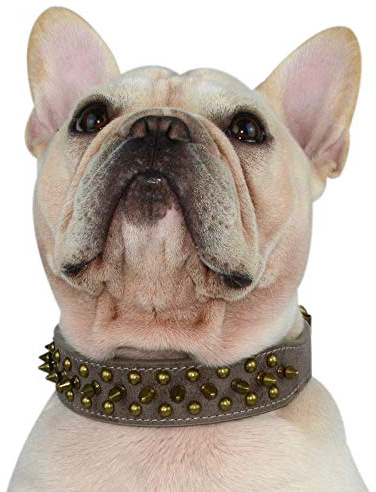 Hifrenchies Hundehalsband mit Nieten, Pilz-Nieten, verstellbar, Mikrofaser-Leder, Haustier-Halsbänder für Französische/Bulldogge/Mops, geeignet für kleine, mittelgroße und große Hunde, L, antik-grau