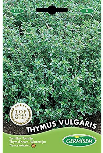 Germisem Thymian THYMUS VULGARIS, mehrfarbig, EC1115