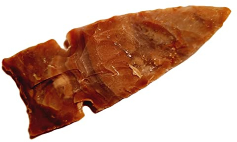 Animus Imperat Pfeilspitze mit abgesetzter Kerbe 9-11cm