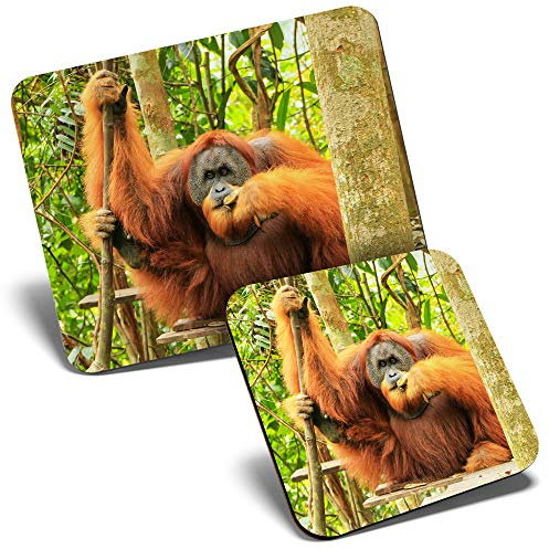 Mouse Mat & Coaster Set - Male Sumatran Orangutan 23.5 x 19.6 cm & 9 x 9 cm for Computer & Laptop, Office, Gift, Non-slip Base #3446