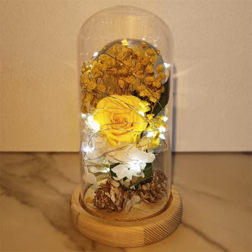 Lámpara de Rosa eterna encantada con Flores Brillantes Artificiales, la Bella y la Bestia, Galaxia Infinita, cúpula de Cristal, Regalos para Aniversario, Madres, Mujeres, Novia, Esposa, cumpleaños