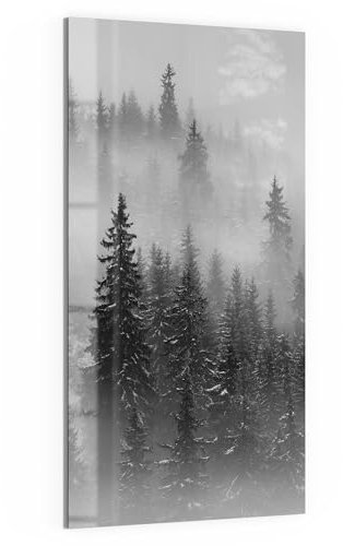 DEQORI Glas-Magnettafel | 50x100 cm cm groß | Motiv Nebelwald Stille | Memo-Board aus Glas | Magnetboard inkl. Magnete, Stift & Tuch für Küche & Büro | Tafel magnetisch & beschreibbar