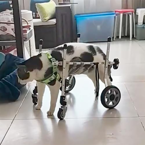 Chariot Chien Handicapé Fauteuil Roulant pour Chat Xxs/xs/s pour Pattes Arrière, Aides à La Mobilité pour Chien à Quatre Roues pour La Rééducation de L'arthrite, Chariot Portable pour Attelle de Jambe