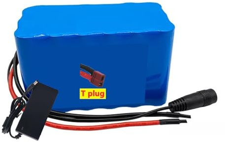 24V 30Ah Lithium-Ionen-Akku (7S3P) für E-Bike/E-Scooter/Motorrad, Hochleistungs-Akkupack mit 29.4V 2A Sicherheitsladegerät XT60/T Stecker T Plug,24V 30Ah