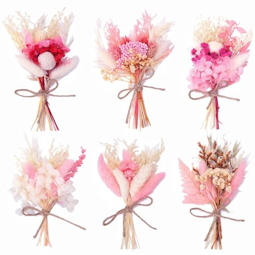 Xialvyu 6 Bündel Mini Trockenblumenstrauß, Klein Trockenblumen (Rosa) | Trockenblumenstrauß Rosa, Natürliche Getrocknete Blumenstrauss, Dried Flowers für Bilderrahmen Deko Geschenkverpackungen