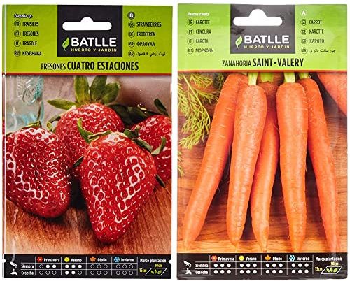 Semillas Batlle - Fresones 4 estaciones, Color Rojo & Zanahoria SAINT VALERY