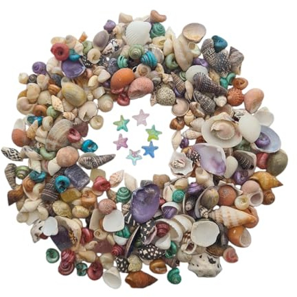 Avalon Mixed SEA Shells Collectable Small Seashell Mixes, Decorative Craft Shells, White Shells, Starfish, Weddings/Home Decor, Beach & Costal Themed Arts and Crafts Projects & Parties (Mix #SMM)