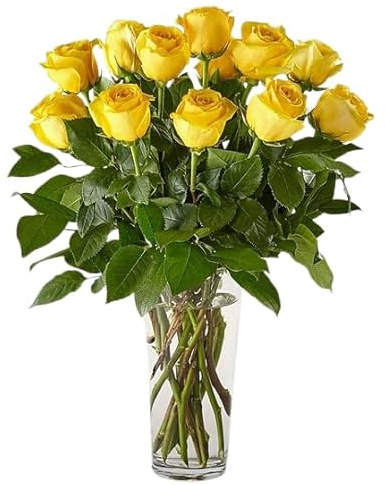 Ramo de Rosas Naturales Color Amarillo con 25 Flores en Presentación Premium para Detalles Especiales Rosas Amarillas Premium