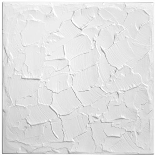 DECCART 3D Wandpaneele Weiß 50x50 cm 20 Stück | 5 m², Paneele Wand Wall Panels Deko Wandverkleidung Innen Panel Deckenverkleidung Decke Deckenpaneele Platten EPS