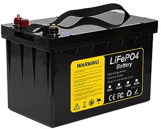 WILLQ 12V 200Ah 150Ah 100Ah 80Ah Lithium Iron Phosphate Battery LiFePO4 Rechargeable Replace SLA AGM Fit for Solar Boat RV Marine Camping Power Battery with BMS,12V100Ah