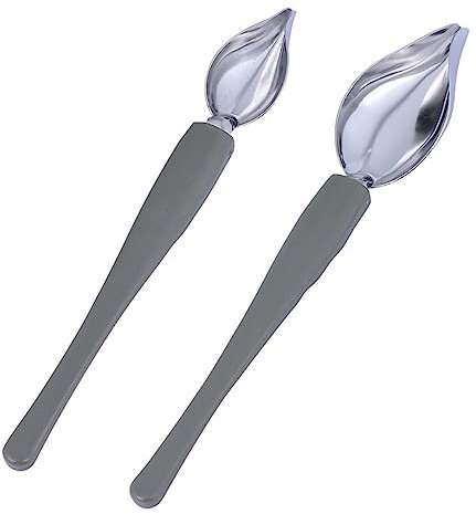 PartyKindom 2 Pcs Stainless Steel Plate Sauce Painting Spoons Culinary Chocolate Pencil Tools for Dessert Decoration Kitchen Western Food Plating