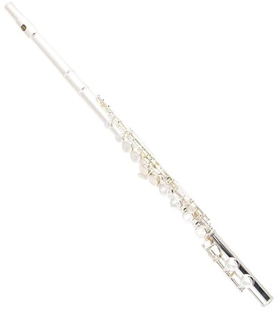 Flöte Profis Linkshänder Flöte Rückhandinstrument 16 Löcher für Linkshänder geschlossenes Loch versilbert