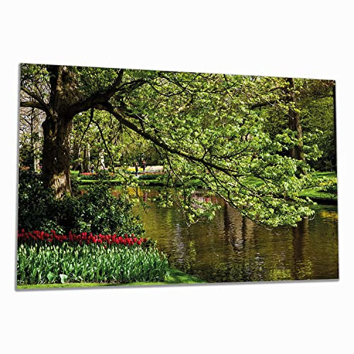 Wallario Herdabdeckplatte/Spritzschutz aus Glas, 1-teilig, 90x52cm mit 13mm hohen Füßen, für Ceran- und Induktionsherde, Bunte Blumen im Park am Wasser - Frühblüher am Ufer