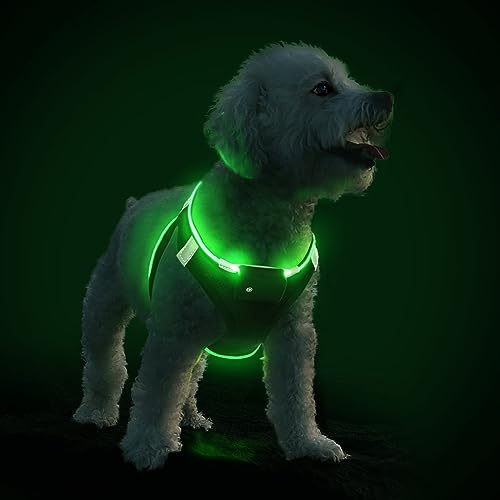 PcEoTllar Hundegeschirr Leuchtend, LED Aufladbar, Schwarz Grün-XS | Reflektierendes, Beleuchtetes Leuchtgeschirr für Welpe Klein Mittlere Hund, Atmungsaktiv Leucht Geschirr