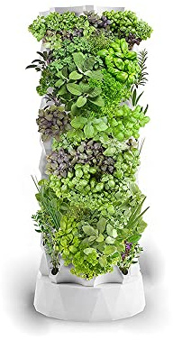 Sistema di Coltivazione idroponica, Kit di Coltivazione idroponica 48/64/80, Sistema di Coltivazione di Piante da Giardino con Coltura in Acqua e esperimento idroponico per ortaggi, 10 strat
