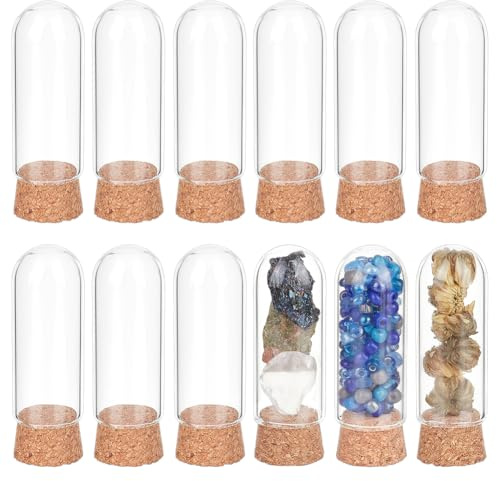 BENECREAT 15 Packung Dekorative Gläser Mit Glaskuppel, 59x20mm Kuppel Glockendeckel Dekorationsflaschen Mit Korken Für Gastgeschenke Zum Muttertag Hochzeit Party Kleine Kunstprojekte Heimtextilien