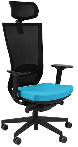 grospol Marti BS HD Ergonomischer Bürostuhl mit Verstellbarer Kopfstütze, Armlehnen, Lendenwirbelstütze, Neigungsfunktion, Mesh-Stuhl, schützt den Rücken, Bürostuhl 120 kg (türkis)