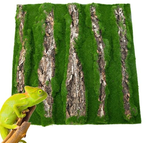 Reptil kork terrarium bakgrund – ödla livsmiljö dekorationer, 30 x 45 cm skällbakgrund, konstgjord mossa för gecko, ödla, sköldpadda, och kameleont terrarier, reptiler livsmiljödekor,
