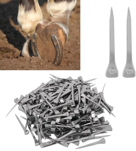 Nikou Hufeisennägel - 250 Stück Stahl E4 Stabiler Hufeisennagel Pferdewerkzeug Zubehör, 4.8CM Hochfester Stahlhufzapfen Sicheres Festes Werkzeugzubehör für Pferde Einfach zu Bedienen