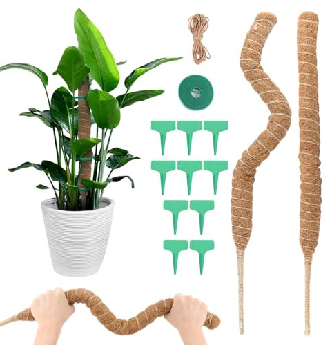 VFANDV Monstera Rankhilfe, 2 Stück 70cm Moosstab Pflanzenstab Biegsame Moosstab Monstera Stab Pflanzstab mit Zubehör Stab für Kletterpflanzen Pflanzenname Pflanzzeit Natürlicher Pflanzenstütze